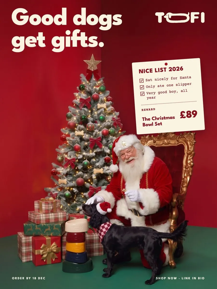 Holiday promo story design for a pet brand